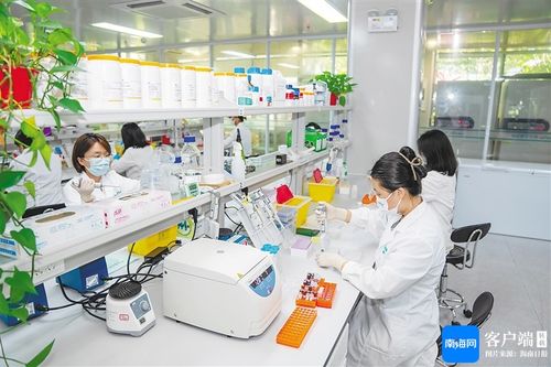 三亞崖州灣科技城開發建設5年來累計招引企業破萬家