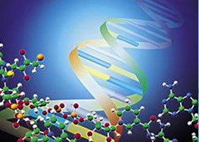 上海美軒生物科技